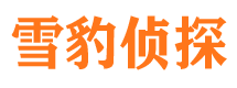 和龙捉小三公司